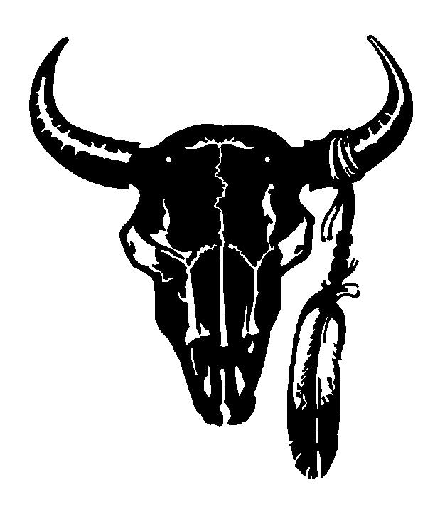 Buffalo Skull